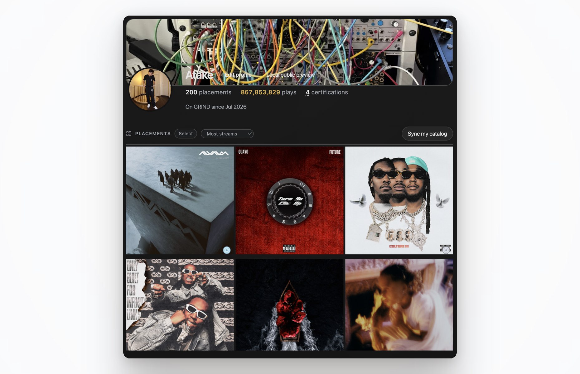 A producer profile: placements and their real numbers, over the covers of the releases.